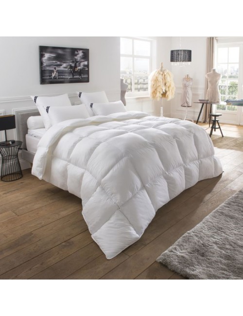 Couette Galaxie oie 280g/m² Drouault chaude - 5 tailles