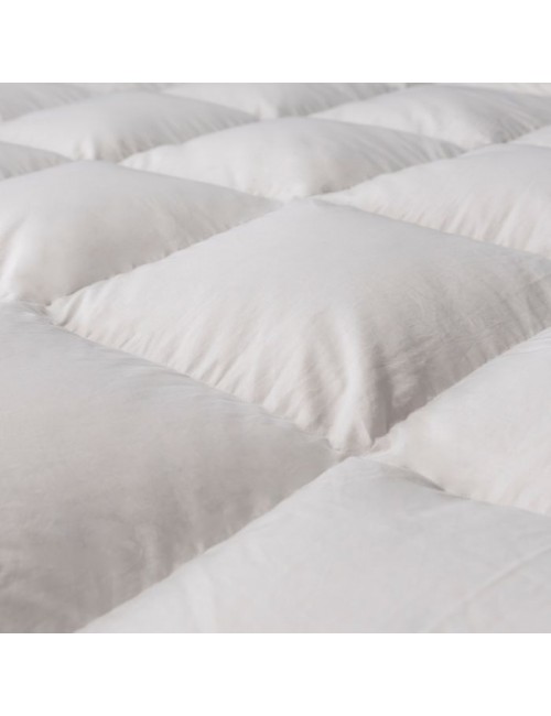 Couette Galaxie oie 280g/m² Drouault chaude - 5 tailles