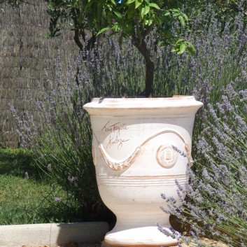 Terre Figuière Vase Cerusé naturel - 4 tailles