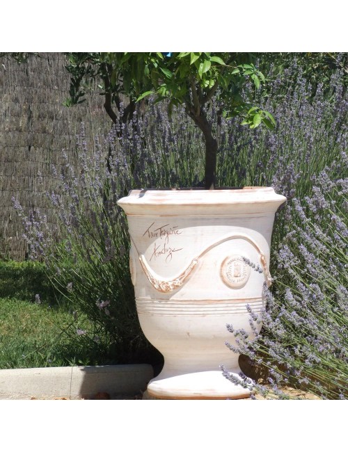 Terre Figuière Vase Cerusé naturel - 4 tailles