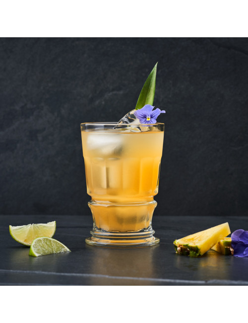4 Verres à cocktail Club La Rochère