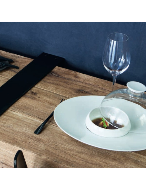 6 assiettes Gourmet DEGRENNE