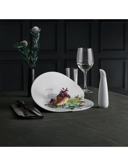 2 assiettes de présentation Canopée Pillivuyt en porcelaine
