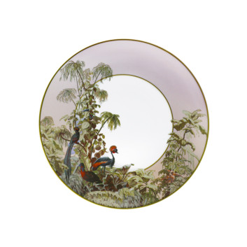 6 assiettes Le Brésil Haviland - 5 diamètres