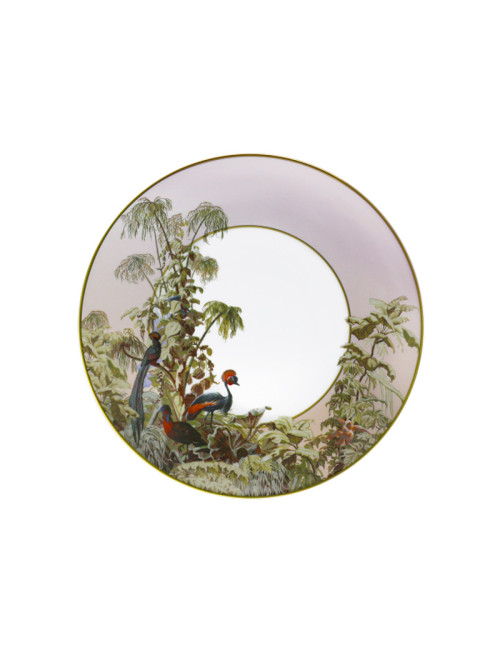 6 assiettes Le Brésil Haviland - 5 diamètres