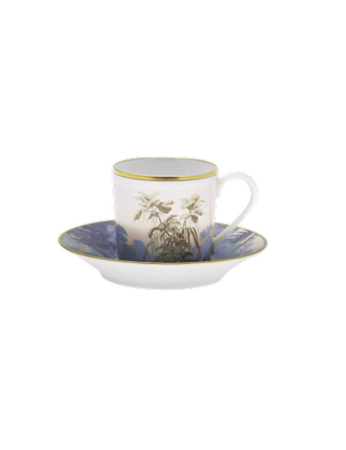6 tasses et soucoupes Le Brésil Haviland - 3 diamètres