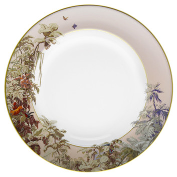 Plat Le Brésil Haviland - 7 diamètres