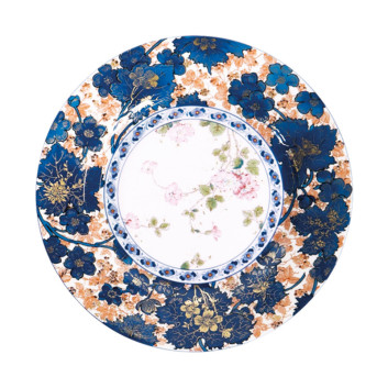 6 assiettes Dammouse Haviland - 5 diamètres