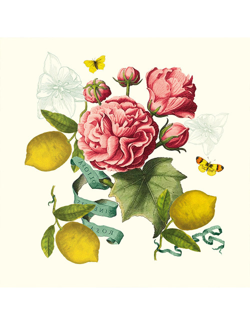 4 serviettes de table Citrons de Menton Garnier Thiebaut
