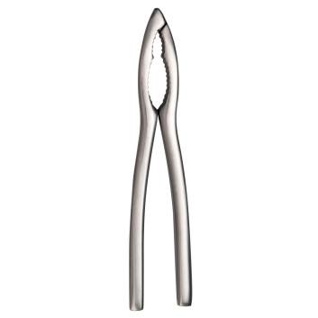 6 pinces à crustacés inox DEGRENNE