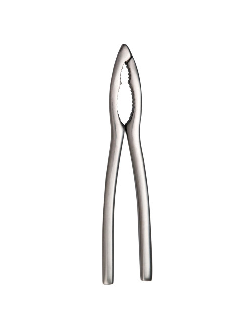 6 pinces à crustacés inox DEGRENNE