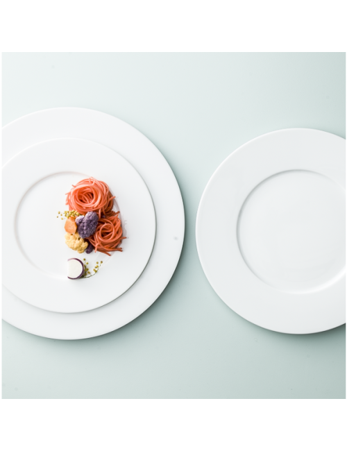 6 assiettes Degrenne collection L Blanc 7 modèles