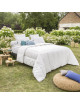 Couette Terra Drouault 300g/m² tempérée - 4 tailles