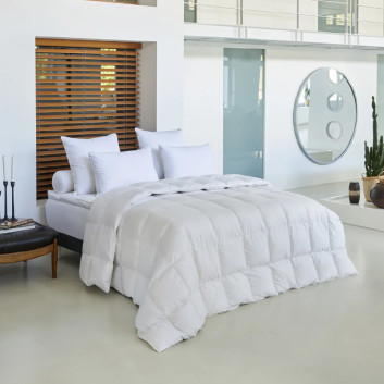 Couette Galaxie oie 180g/m² Drouault tempérée - 5 tailles