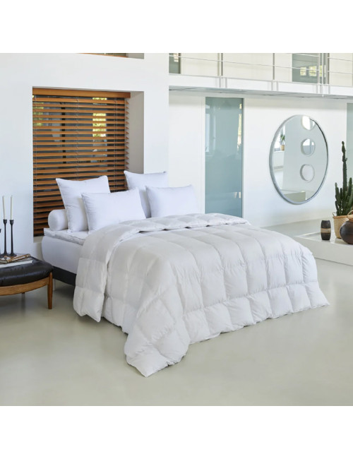 Couette Galaxie oie 180g/m² Drouault tempérée - 5 tailles