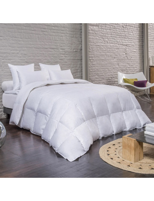 Couette Astrale Drouault 300g/m² tempérée - 5 tailles