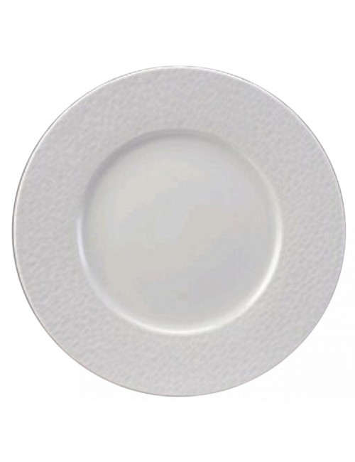 6 assiettes Aqua Apilco en porcelaine - 4 tailles