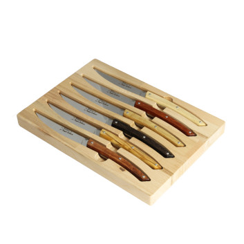 Coffret 6 couteaux Le Thiers Roger Orfèvre manches bois assortis