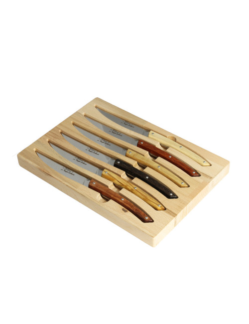 Coffret 6 couteaux Le Thiers Roger Orfèvre manches bois assortis