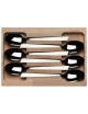 Coffret 6 cuillères de table Jazz inox Roger Orfèvre - 2 finitions