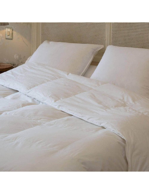 Couette été duvet oie 160g