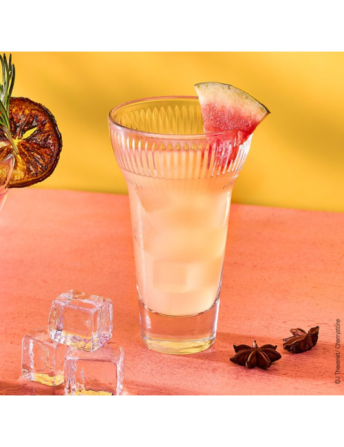 6 verres à pastis Calanques Fanny La Rochère