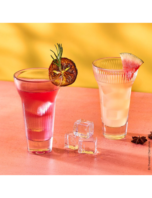 4 verres à pastis Calanques La Rochère