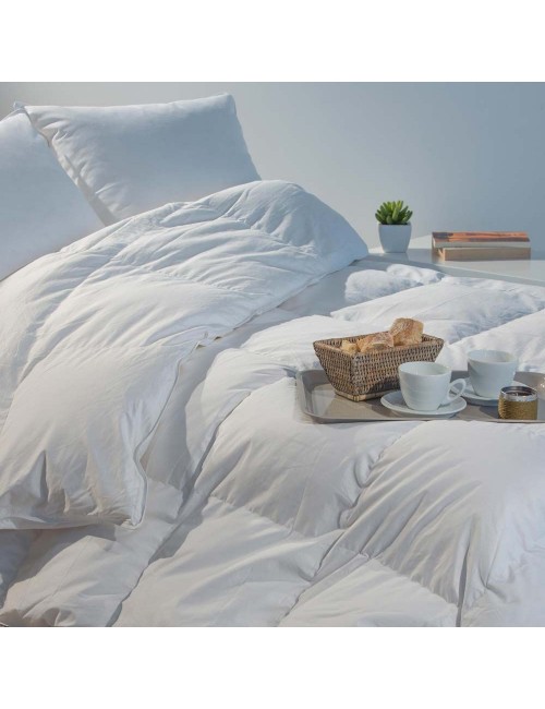 Couette été duvet oie 160g
