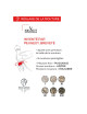 Moulin Peugeot sel ou poivre Paris Select Chocolat - 7 tailles