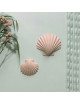 Coquillage Calypso petit Monochromic décoration murale - 4 coloris