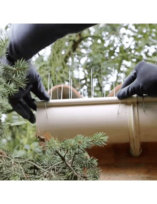 Pics anti-volatiles Oisipic pour gouttière avec bourrelet en position droite - 4 tailles