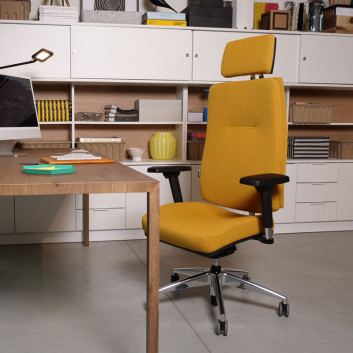 Fauteuil chaise de bureau Navailles King Edgard - 15 finitions