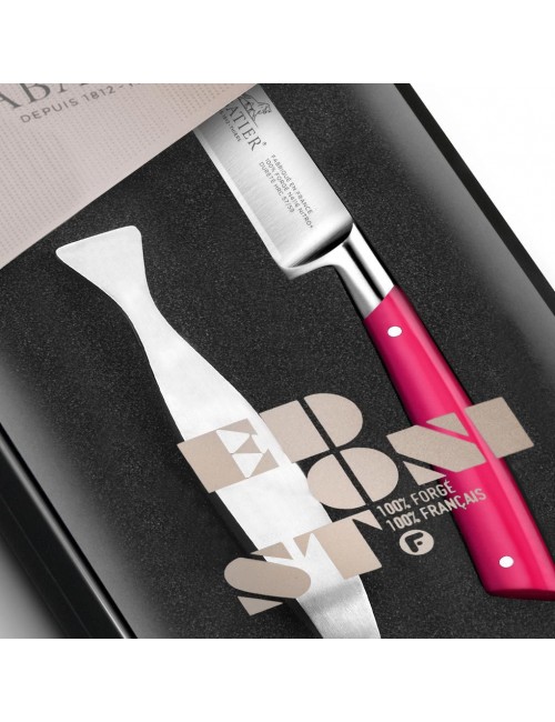 Coffret Couteau Poisson Sabatier Edonist
