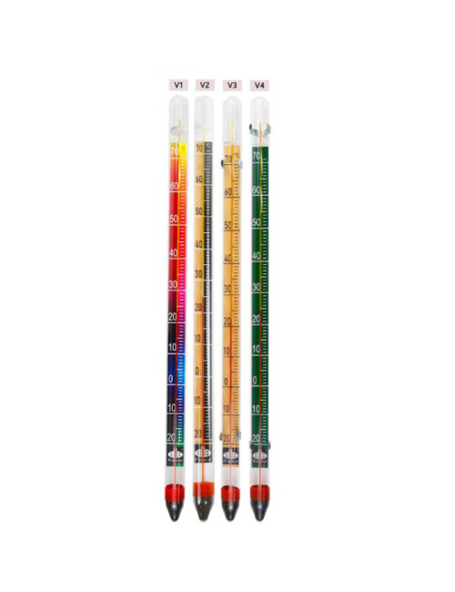 Thermomètre intérieur extérieur Alla France 60cm - 4 versions