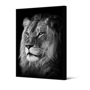 Toile encadrée Lion Pôdevache 80x120cm noir et blanc