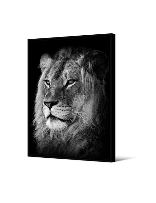 Toile encadrée Lion Pôdevache 80x120cm noir et blanc