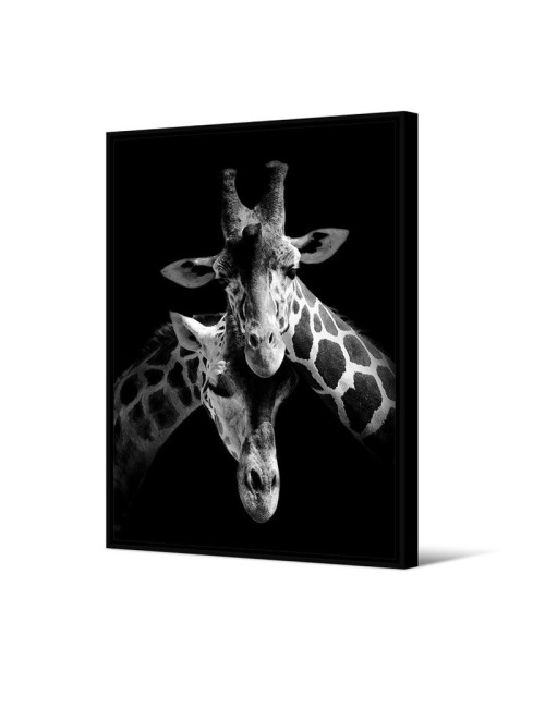 Toile encadrée Tanga Girafes Pôdevache 65x92.5cm noir et blanc