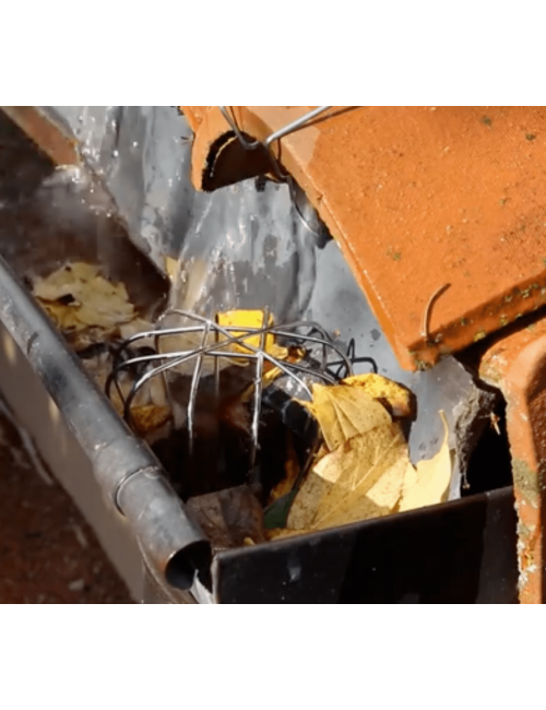 Crapaudine (x3) OISIPIC pour gouttière anti-intrusion