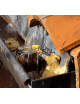 Crapaudine (x3) OISIPIC pour gouttière anti-intrusion