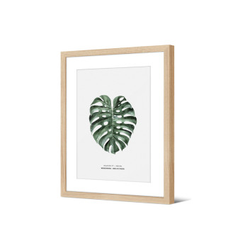 Image encadrée Pôdevache Elome Monstera 30x40cm nature