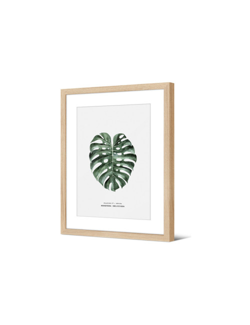 Image encadrée Pôdevache Elome Monstera 30x40cm nature
