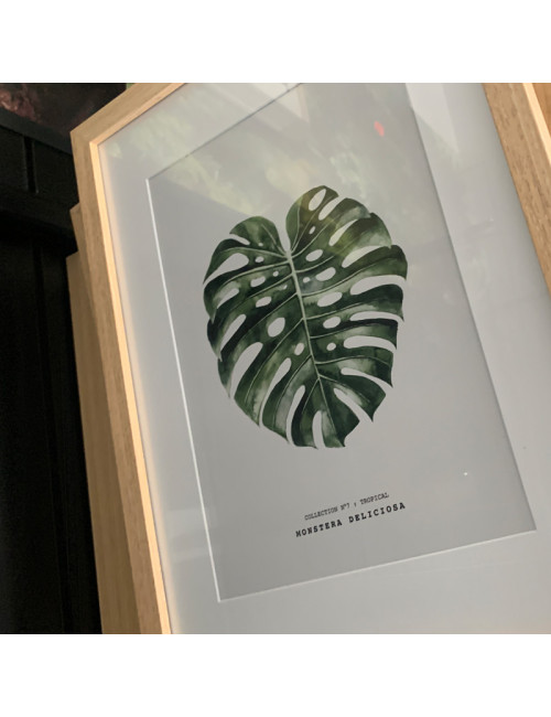 Image encadrée Pôdevache Elome Monstera 30x40cm nature