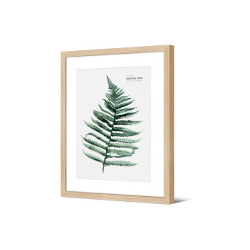 Image encadrée Pôdevache Balanga Fougère bracken 30x40cm nature