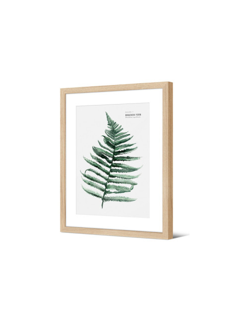 Image encadrée Pôdevache Balanga Fougère bracken 30x40cm nature