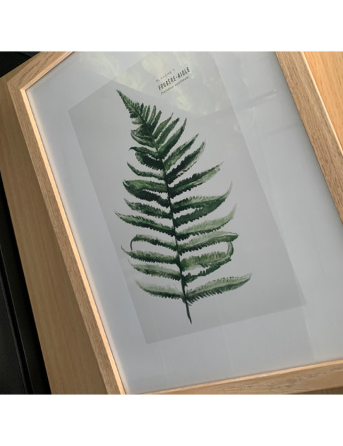 Image encadrée Pôdevache Balanga Fougère bracken 30x40cm nature