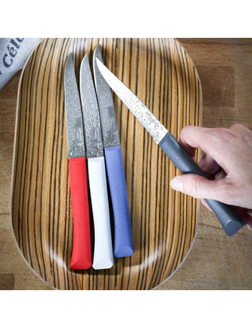 Coffret 4 couteaux OPINEL Bon appétit + polymère - 5 coloris