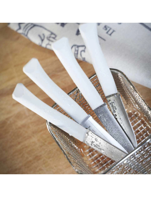Coffret 4 couteaux OPINEL Bon appétit + polymère - 5 coloris