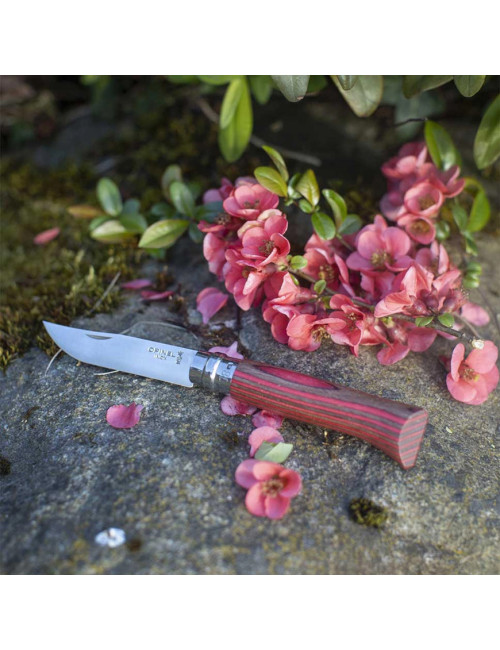 Couteau n°8 OPINEL Tradition Luxe Bouleau lamellé - 3 coloris