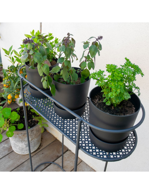 Support Louis Moulin pour plantes et aromates sur pied anthracite
