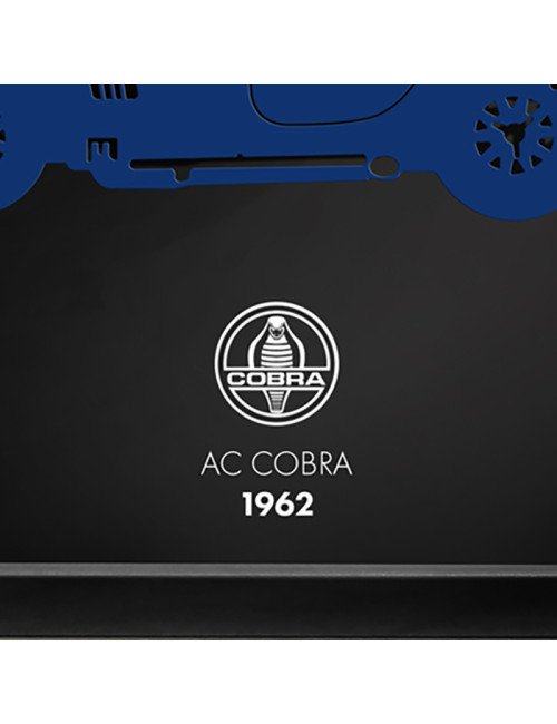 Cadre mural ERIC HARDY 50x50cm AC COBRA acier et bois
